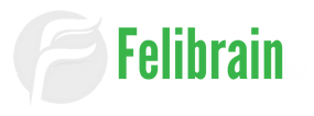 Felibrain | Web, Blockchain & Other Tech Tutorials
